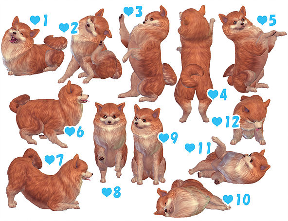Sims 4 Large, Small & Puppy Dog Poses at A luckyday