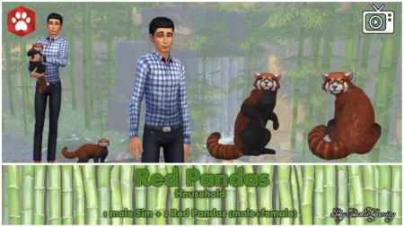 Red Panda (Cat) by Bakie at Mod The Sims