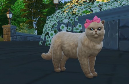 Cat head bow at Studio K-Creation » Sims 4 Updates