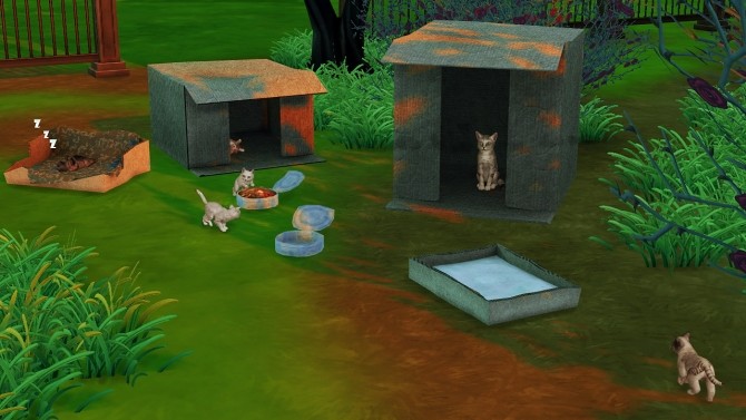 Sims 4 HOMELESS PET SET by Thiago Mitchell at REDHEADSIMS