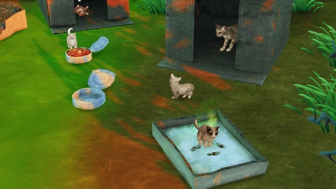 Sims 4 HOMELESS PET SET by Thiago Mitchell at REDHEADSIMS