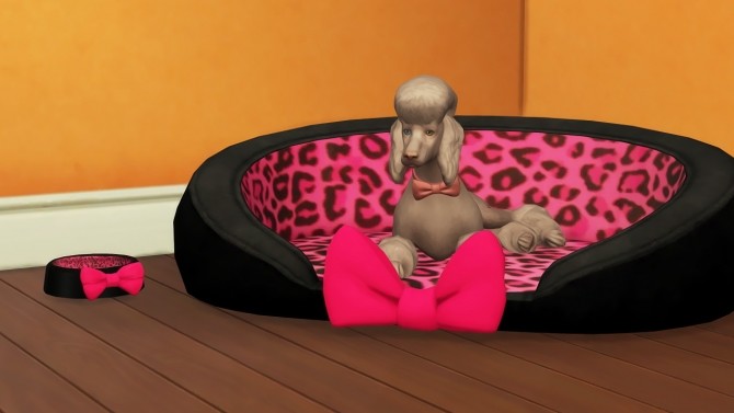Sims 4 FUNCTIONAL LADY PET COZY + HAT at REDHEADSIMS