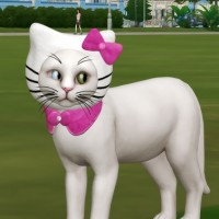 hat » Sims 4 Updates » best TS4 CC downloads