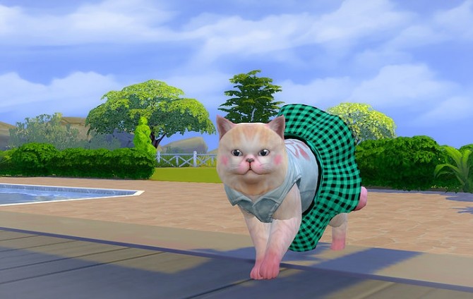 Sims 4 Cat dress N2 acc at Studio K Creation