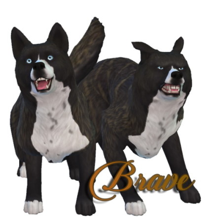Brave dog at Hinarcia Sims 4 Creations
