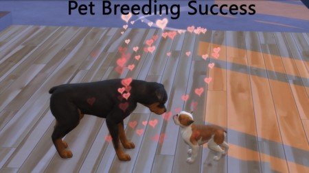 Pet Breeding Success by pd1ds at Mod The Sims