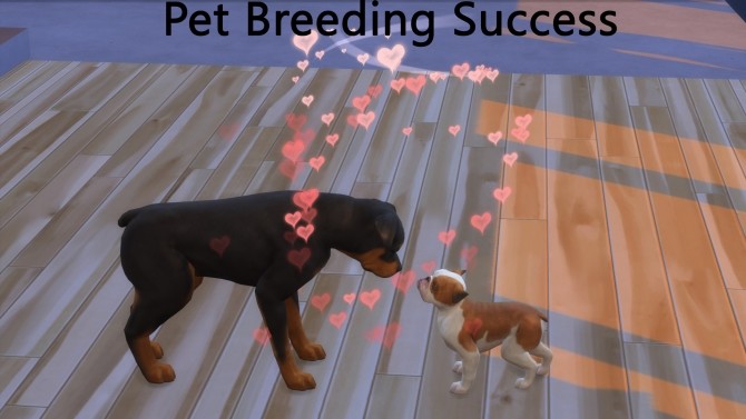 Sims 4 Pet Breeding Success by pd1ds at Mod The Sims