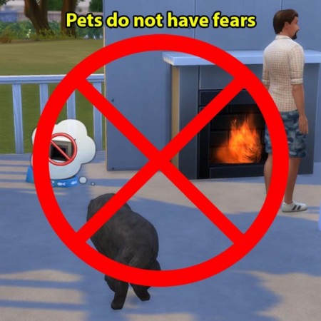 Pets do not have fears by sasha973 at Mod The Sims