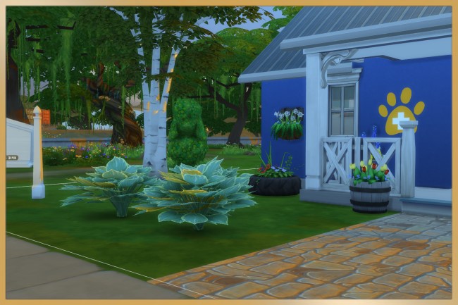 Sims 4 Willowcreek animal practice by Schnattchen at Blacky’s Sims Zoo