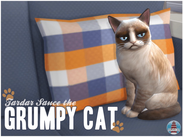 Sims 4 Grumpy Cat by Waterwoman at Akisima