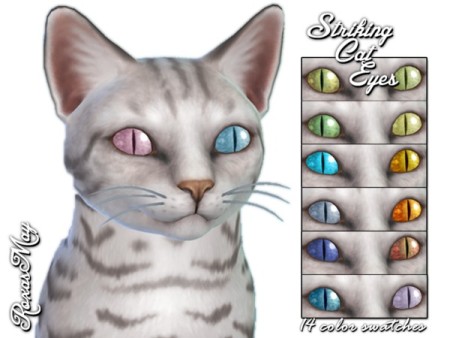 Striking Cat Eyes by roxasmay at TSR