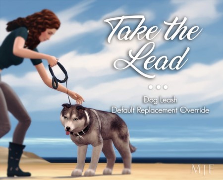 Take the Lead | Dog Leash Override at Magnolian Farewell