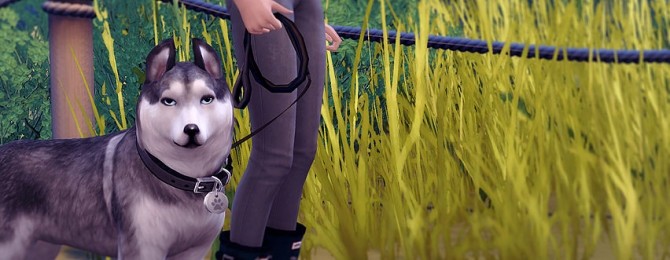 Sims 4 Take the Lead | Dog Leash Override at Magnolian Farewell