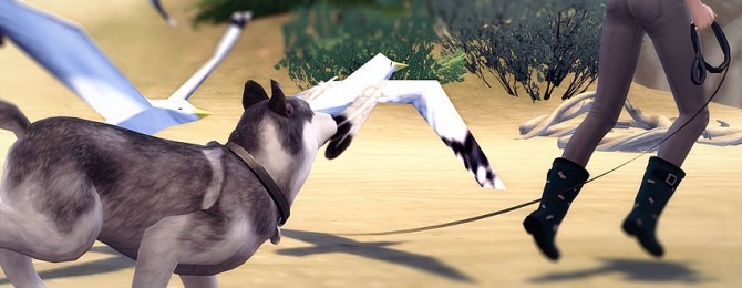 Sims 4 Take the Lead | Dog Leash Override at Magnolian Farewell