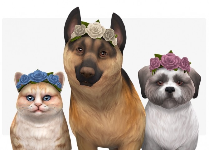 Sims 4 Couronne de Fleurs for pets at Nolan Sims