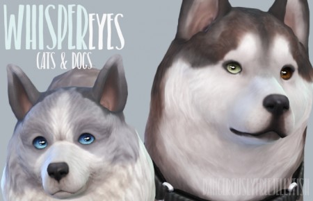 Default Whisper Eyes Cats & Dogs by kellyhb5 at Mod The Sims