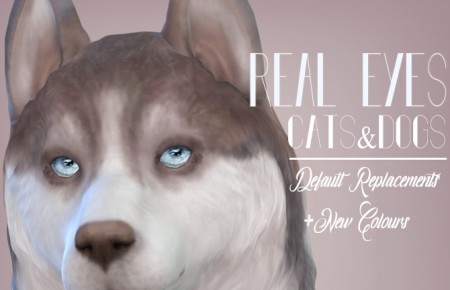 Real Eyes Cats & Dogs by kellyhb5 at Mod The Sims