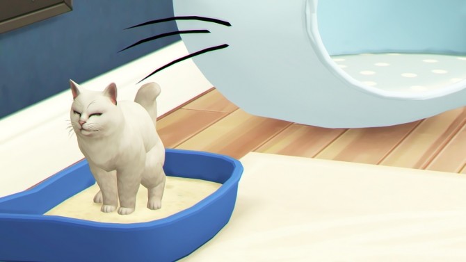 Sims 4 MODERN CAT SET by Thiago Mitchell at REDHEADSIMS
