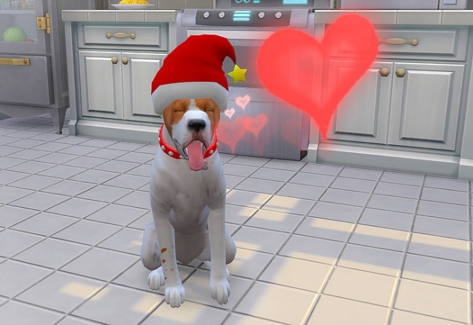 Sims 4 Christmas hat for pet at Studio K Creation