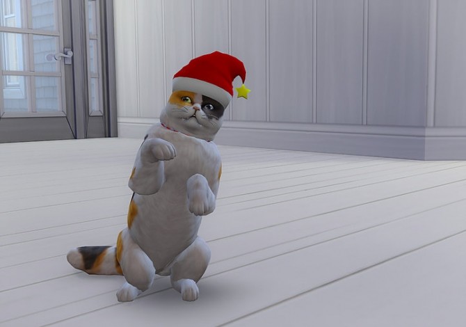 Sims 4 Christmas hat for pet at Studio K Creation