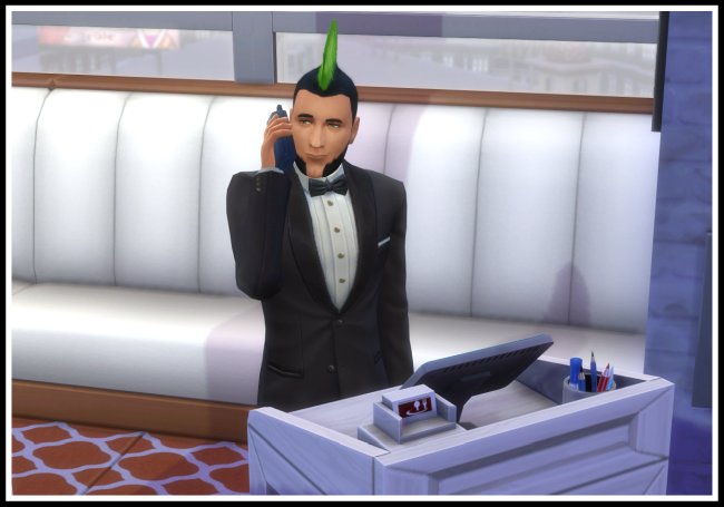 Sims 4 Hired Employees Earn Money (Vet, Retail, Restaurant) at LittleMsSam