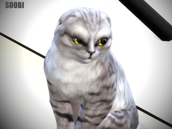 Sims 4 Cat eyes v01 by SooBi at TSR