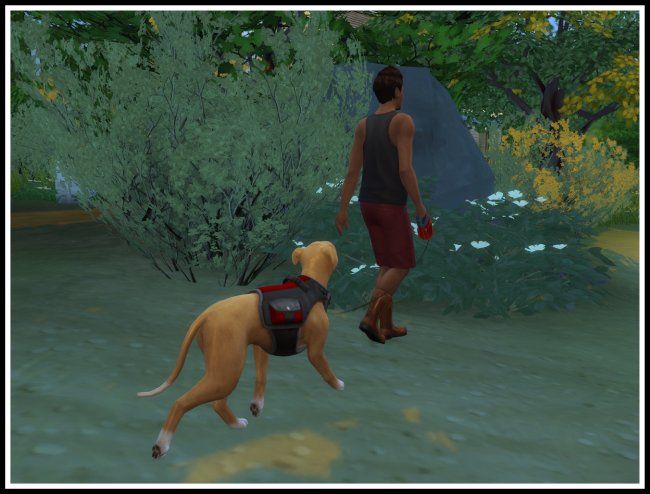 Sims 4 Dog Walker at LittleMsSam