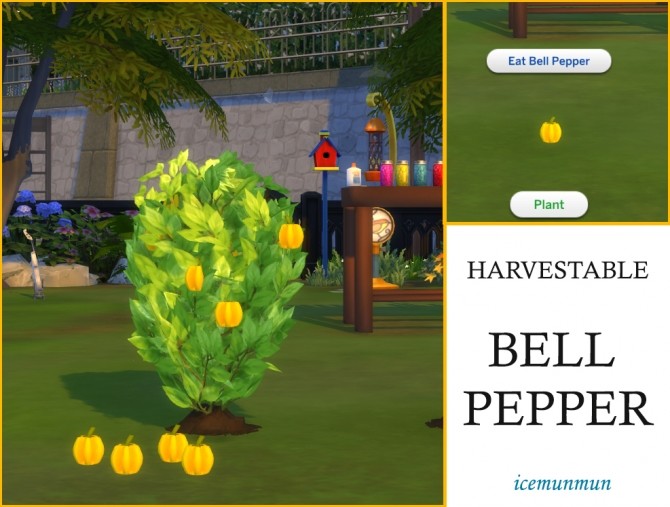 Sims 4 Harvestable Bell Pepper by icemunmun at Mod The Sims