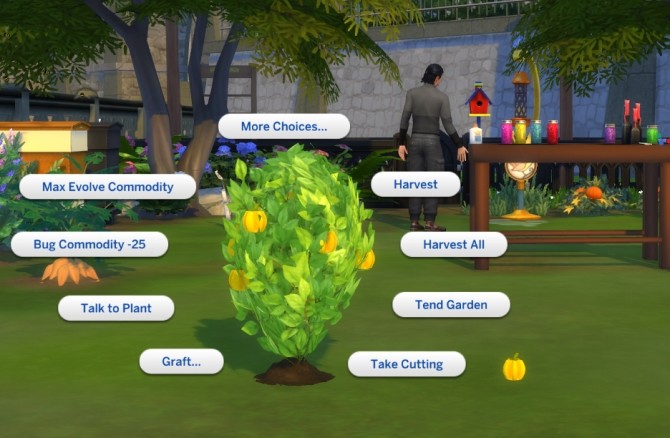 Sims 4 Harvestable Bell Pepper by icemunmun at Mod The Sims