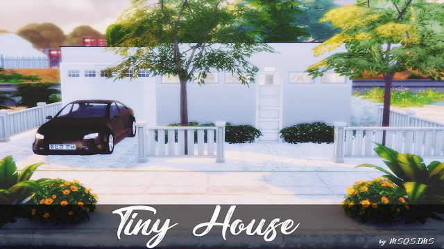 Sims 4 Tiny House at MSQ Sims