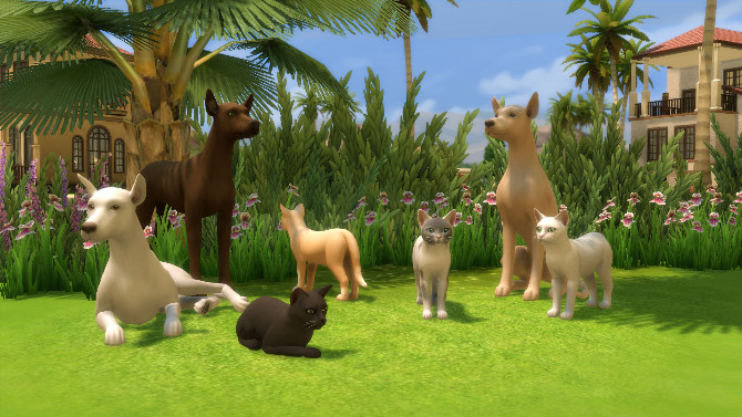 Sims 4 Realistic Dog and Cat Statues by Snowhaze at Mod The Sims