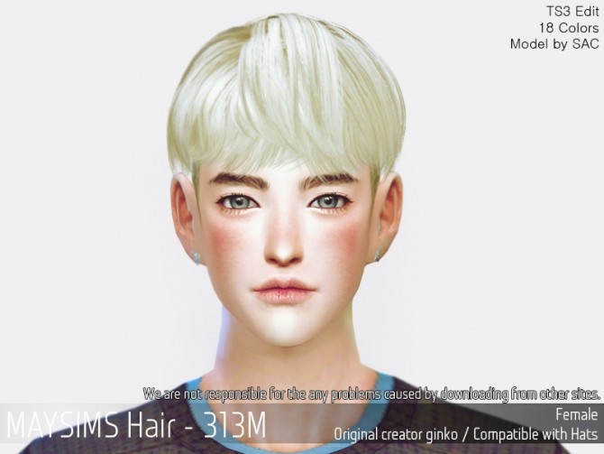 Sims 4 Hair 313M (Ginko) at May Sims