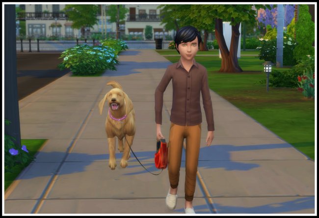 Sims 4 Kids can go for a Walk with Dogs at LittleMsSam