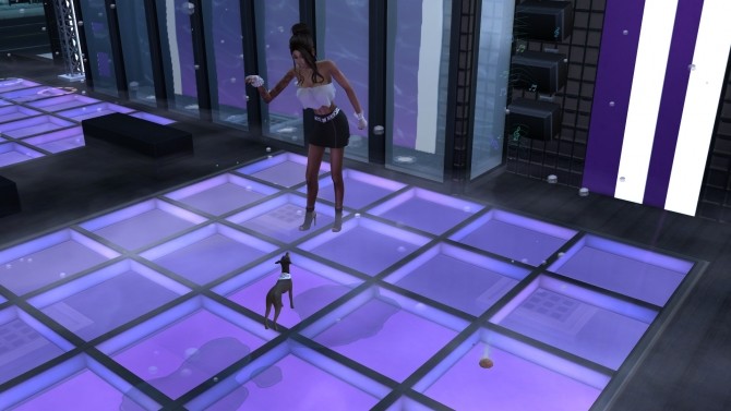 Sims 4 No Pets at the Club by RevyRei at Mod The Sims