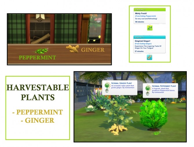 Sims 4 Harvestable Ginger And Peppermint by icemunmun at Mod The Sims