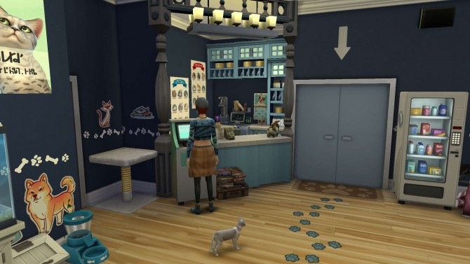 Sims 4 Hometown Vet Apartment by PolarBearSims at Mod The Sims