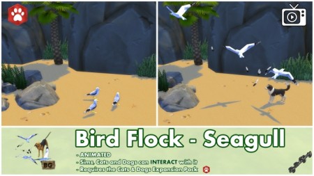 Bird Flock Spawner Seagull Interactive by Bakie at Mod The Sims