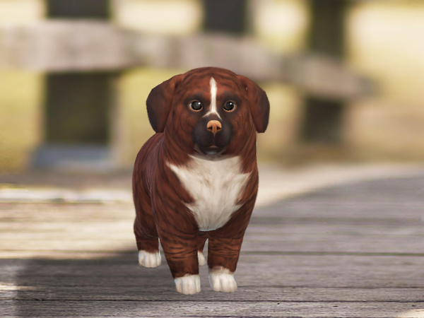 Sims 4 Cinnamon dog by Pinkzombiecupcakes at TSR
