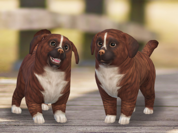 Sims 4 Cinnamon dog by Pinkzombiecupcakes at TSR