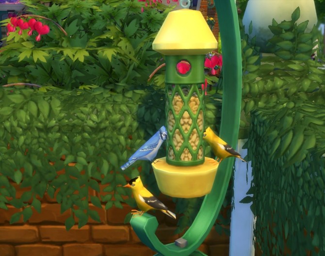 Sims 4 Better Birdwatching by cyclelegs at Mod The Sims