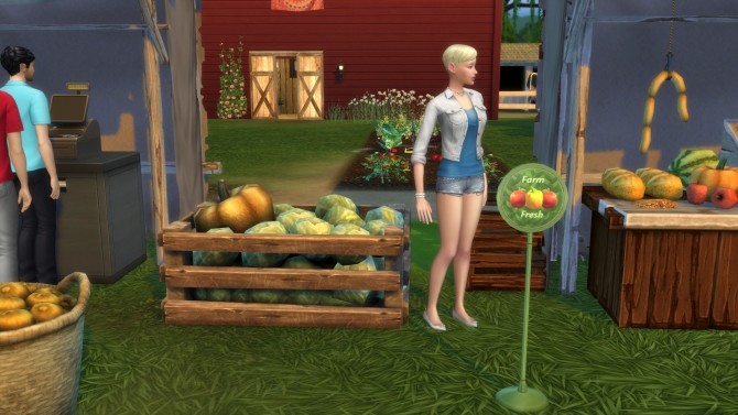 Sims 4. override. 