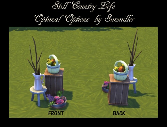 Sims 4 Still Country Life Optimal Options by Simmiller at Mod The Sims
