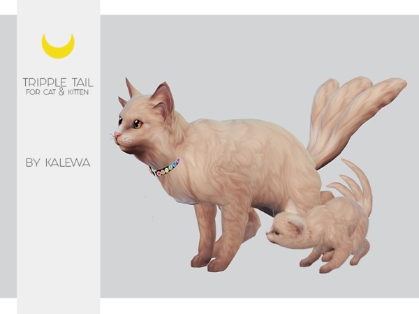 Sims 4 Cat&Kitten Three Tails by Kalewa a at TSR