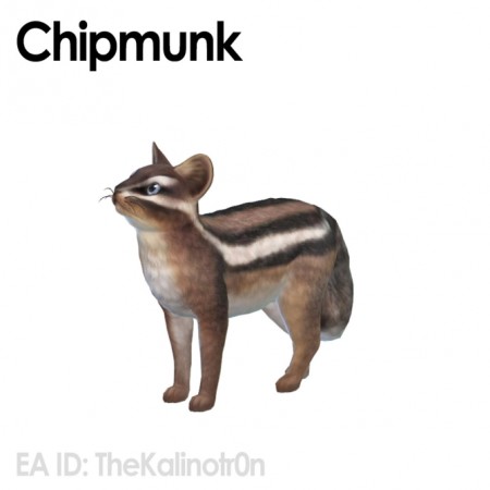 Chipmunks at Kalino
