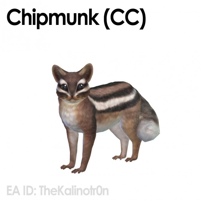 Sims 4 Chipmunks at Kalino