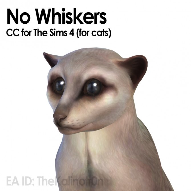 Sims 4 Whiskers for dogs and no whiskers for cats at Kalino