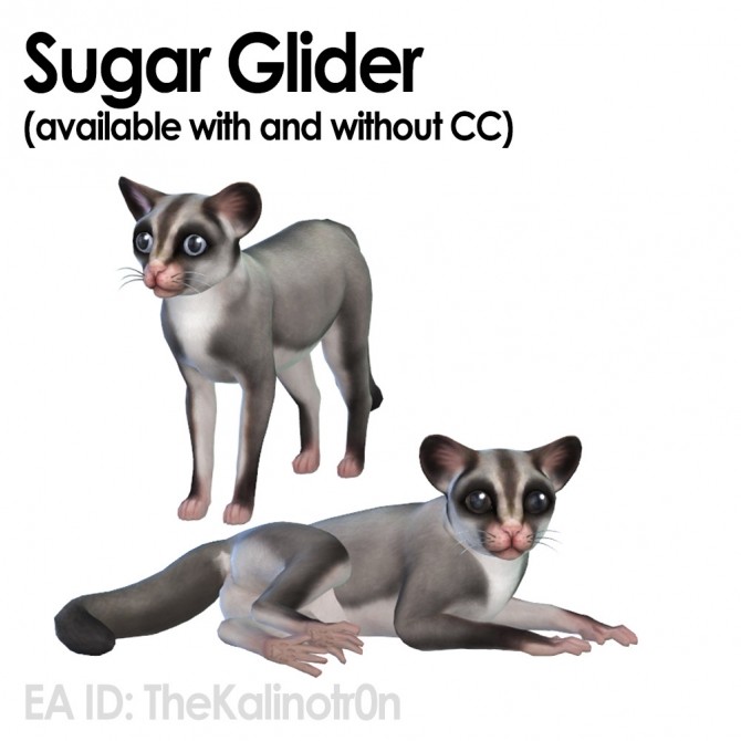 Sims 4 Sugar Glider, baby bear, Lemur and Bighorn sheep at Kalino