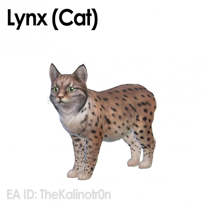 Sims 4 King Cheetah, Lynx (cat), meerkat and red fox at Kalino