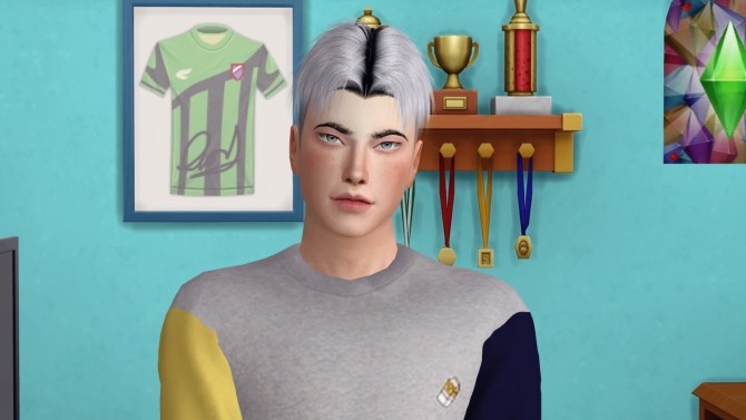 Sims 4 LAPIZ HAIR MALKAVIAN ALL AGES at REDHEADSIMS