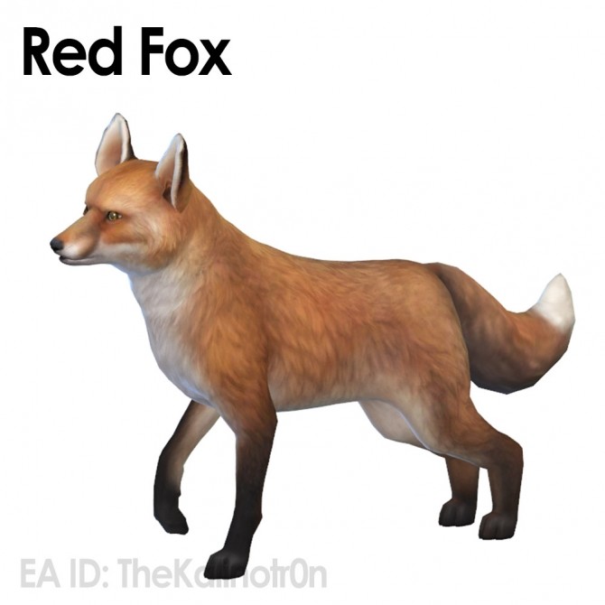 Sims 4 King Cheetah, Lynx (cat), meerkat and red fox at Kalino